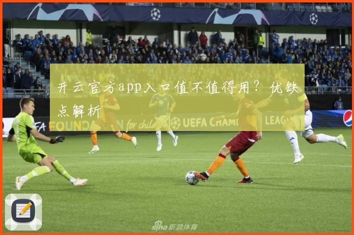 开云官方app入口值不值得用？优缺点解析