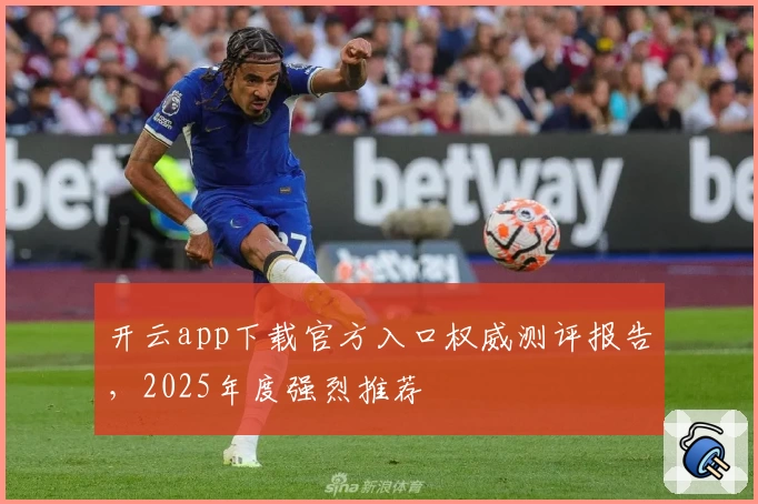开云app下载官方入口权威测评报告，2025年度强烈推荐