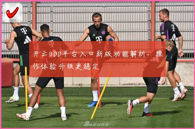 开云app平台入口新版功能解析，操作体验升级更稳定