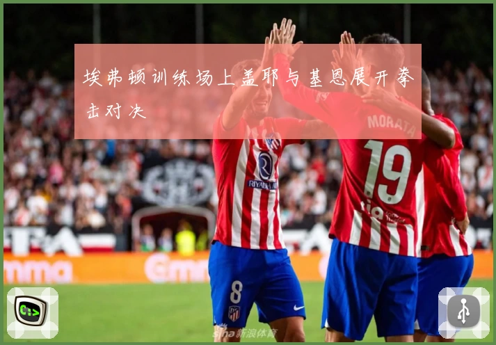 埃弗顿训练场上盖耶与基恩展开拳击对决