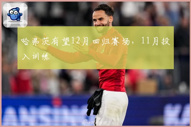 哈弗茨有望12月回归赛场，11月投入训练