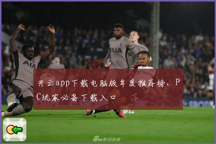 开云app下载电脑版年度推荐榜，PC玩家必备下载入口